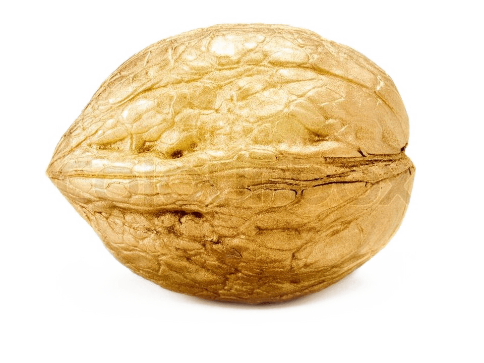 Nut PNG Transparent Images, Pictures, Photos PNG Arts