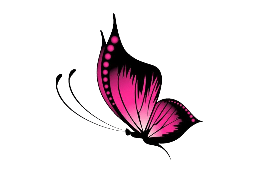 Vector Butterfly PNG Image Background PNG Arts