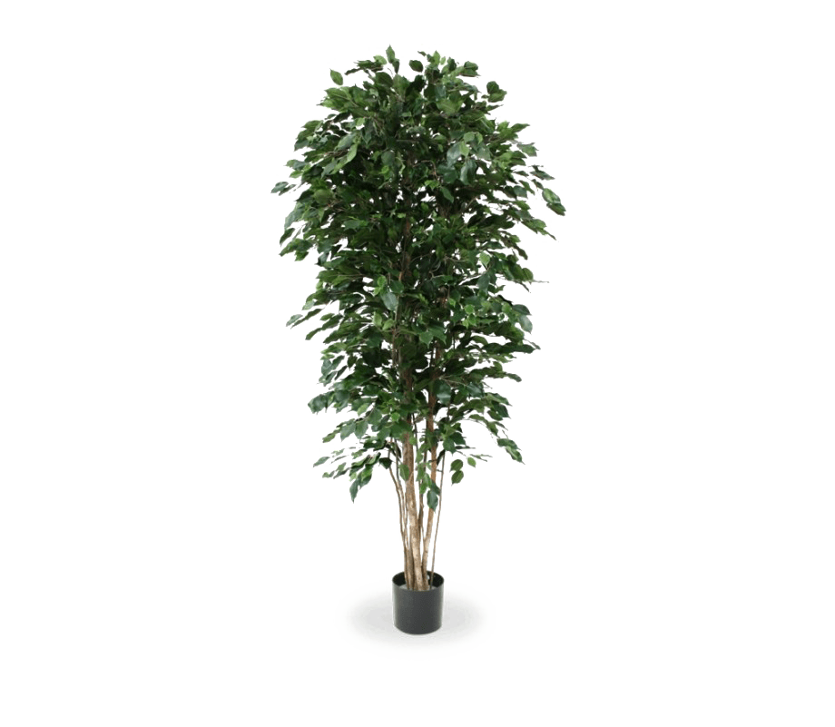 Artificial Plants Png PNG Image Collection