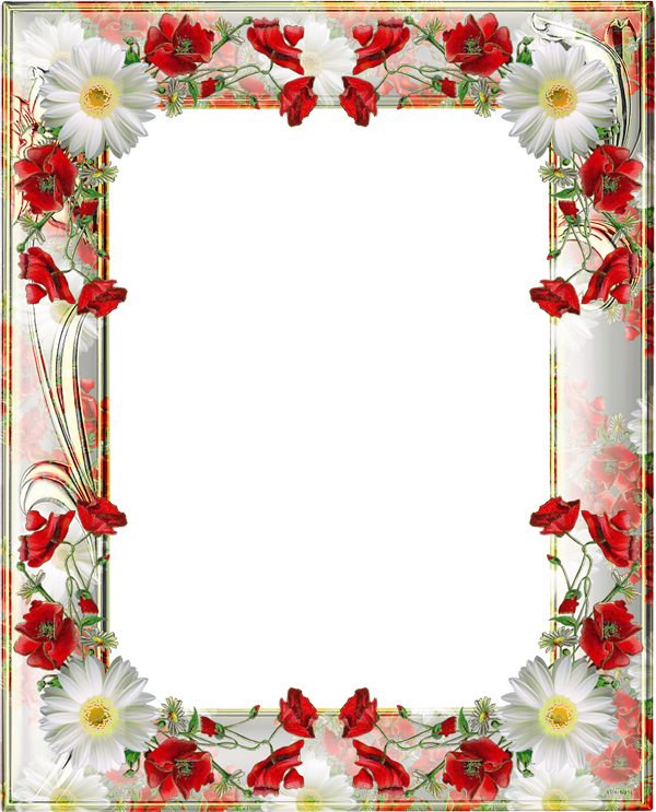 Poppy Flower Frame Transparent Background PNG Mart