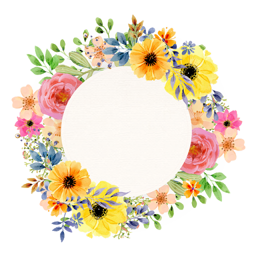 Colorful Circle Flower Frame Png | Png Mart