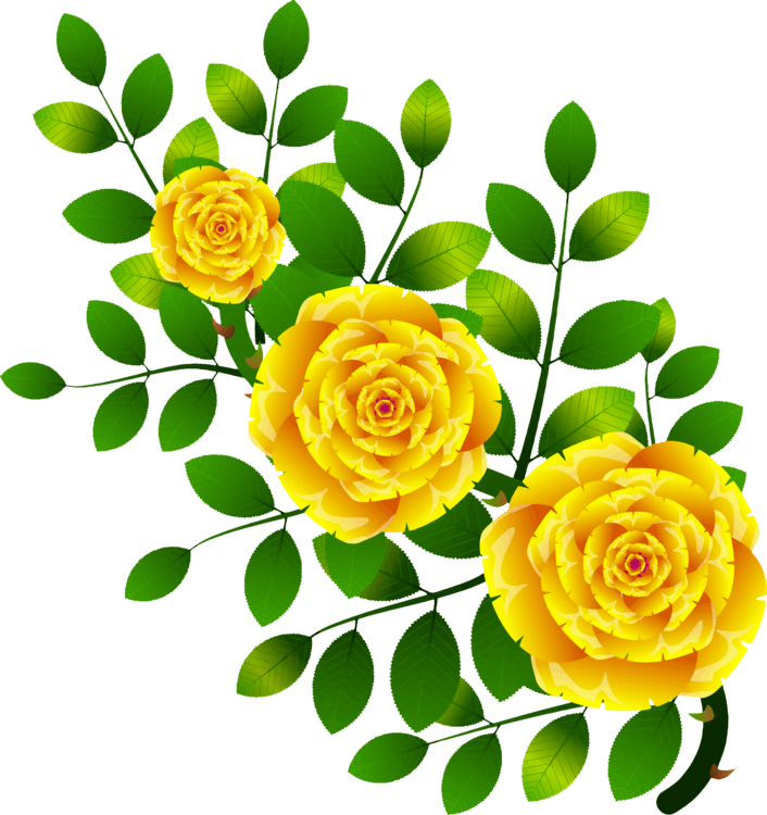 Rose PNG Images Transparent Free Download PNG Mart