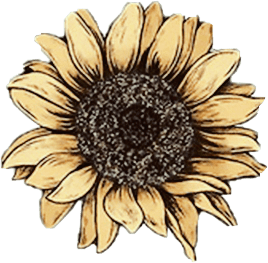 Aesthetic PNG Images Transparent Free Download