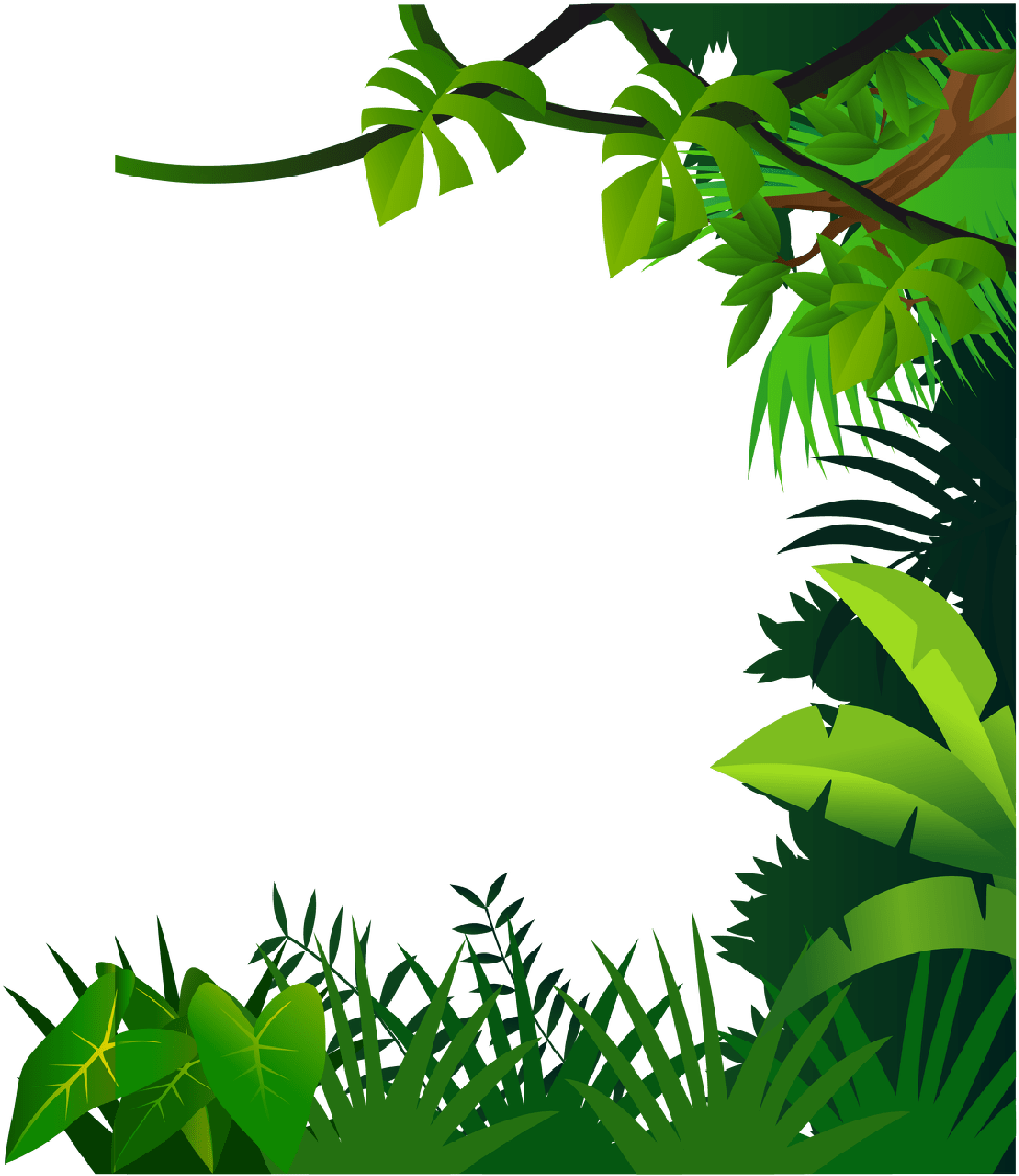 Jungle Border PNG Isolated File PNG Mart
