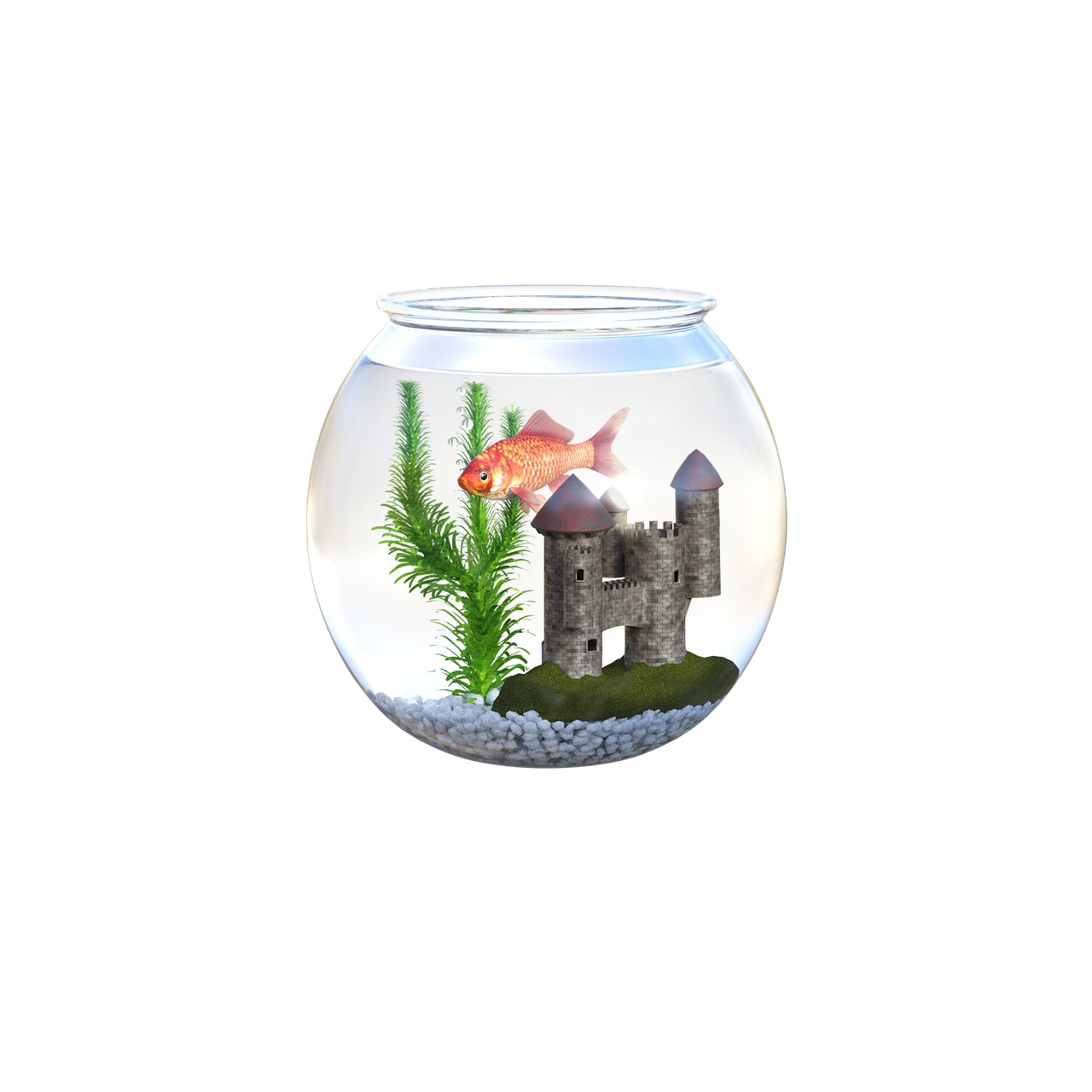 Fish Bowl PNG File PNG Mart