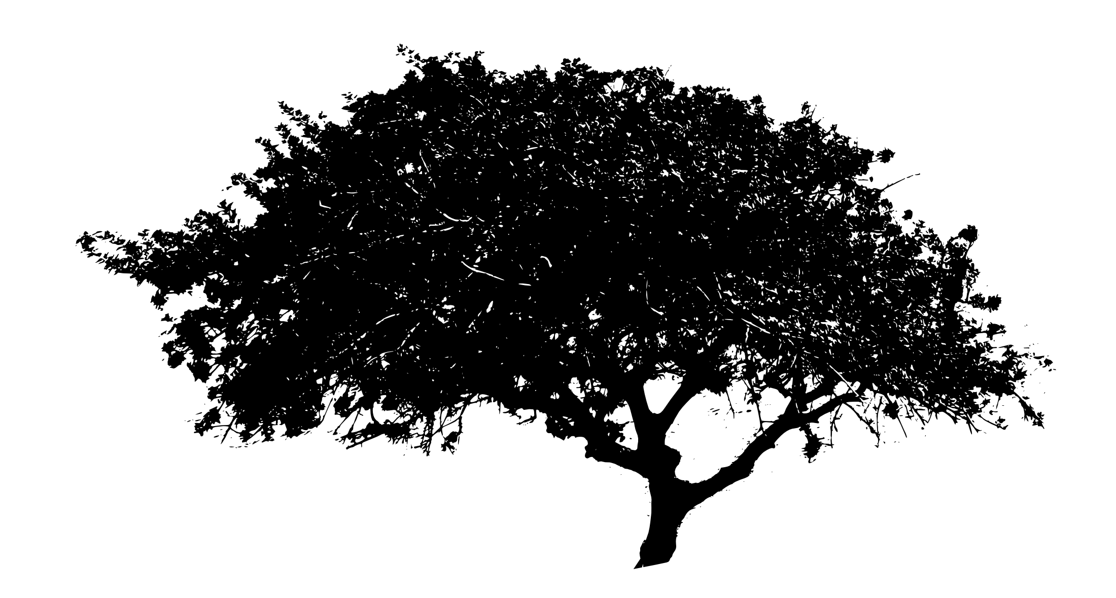 Black Tree PNG File PNG Mart