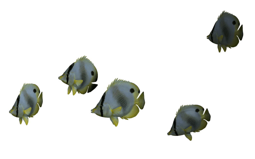 Ocean Fish PNG File PNG Mart