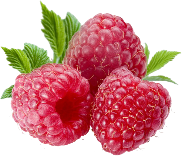 Berries PNG File PNG Mart