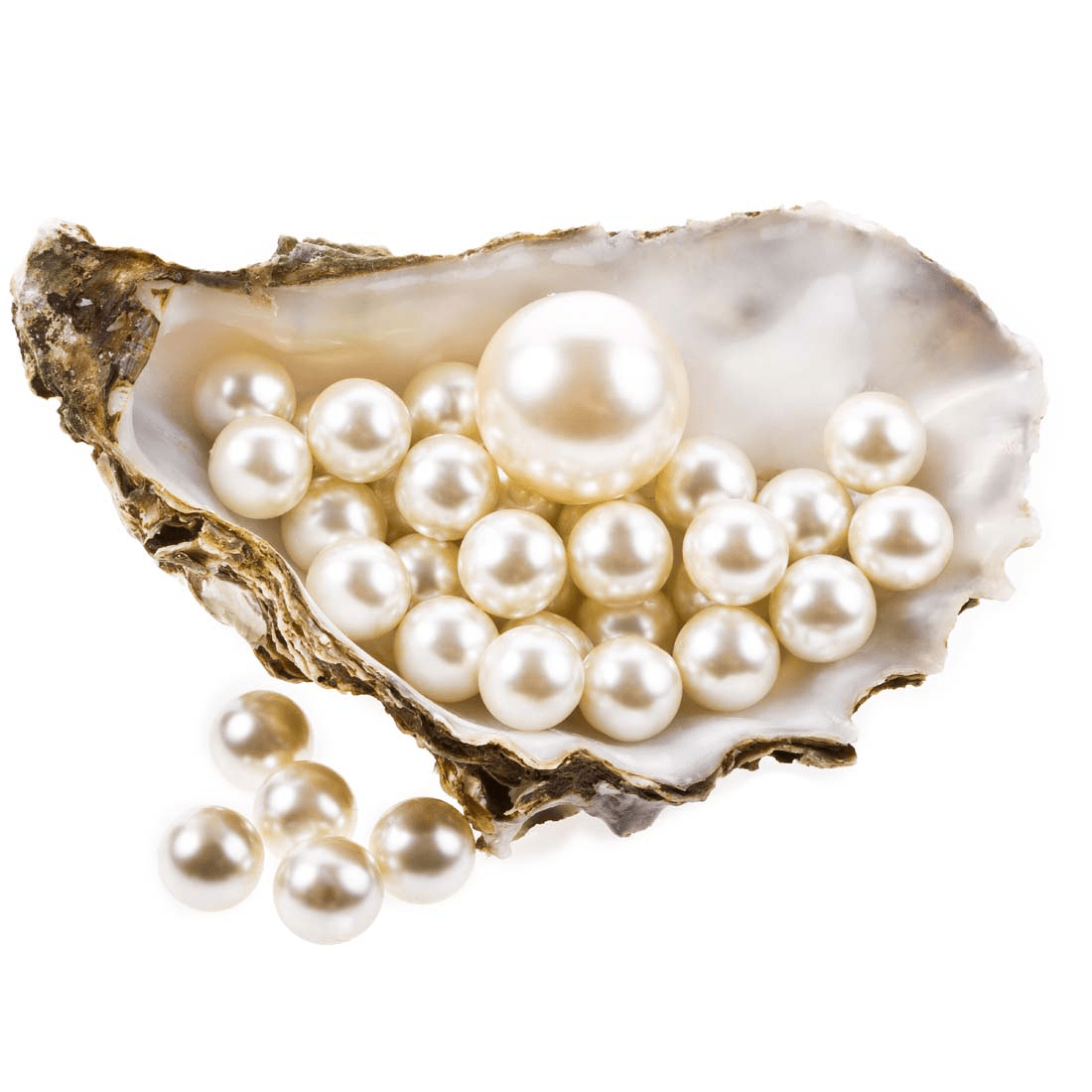 Pearl Transparent Background PNG Mart