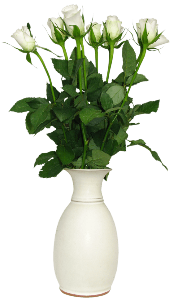 Vase PNG File PNG Mart