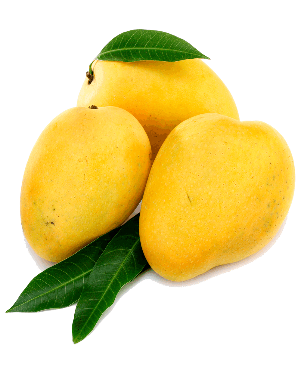 Mango PNG Transparent File PNG Mart