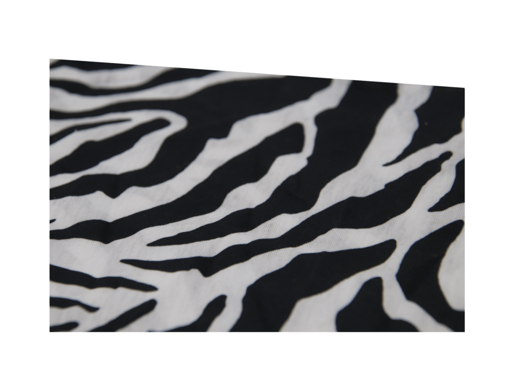 Animal Print Rug PNG Clipart PNG Mart