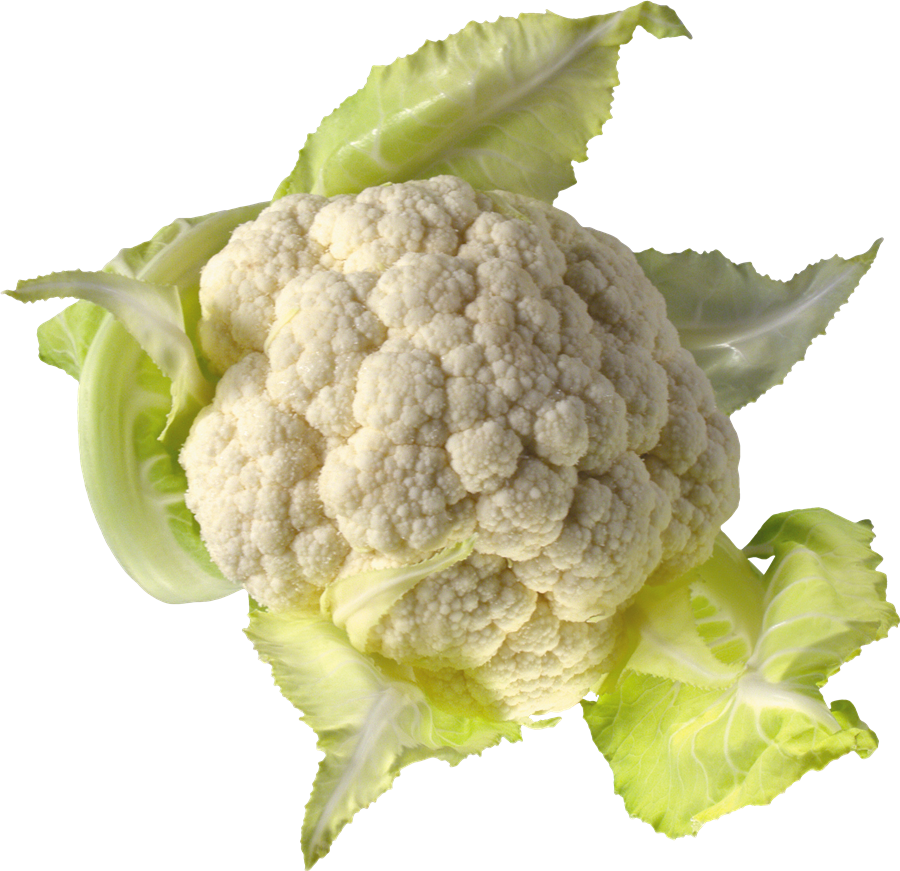 Cauliflower Transparent File PNG Play