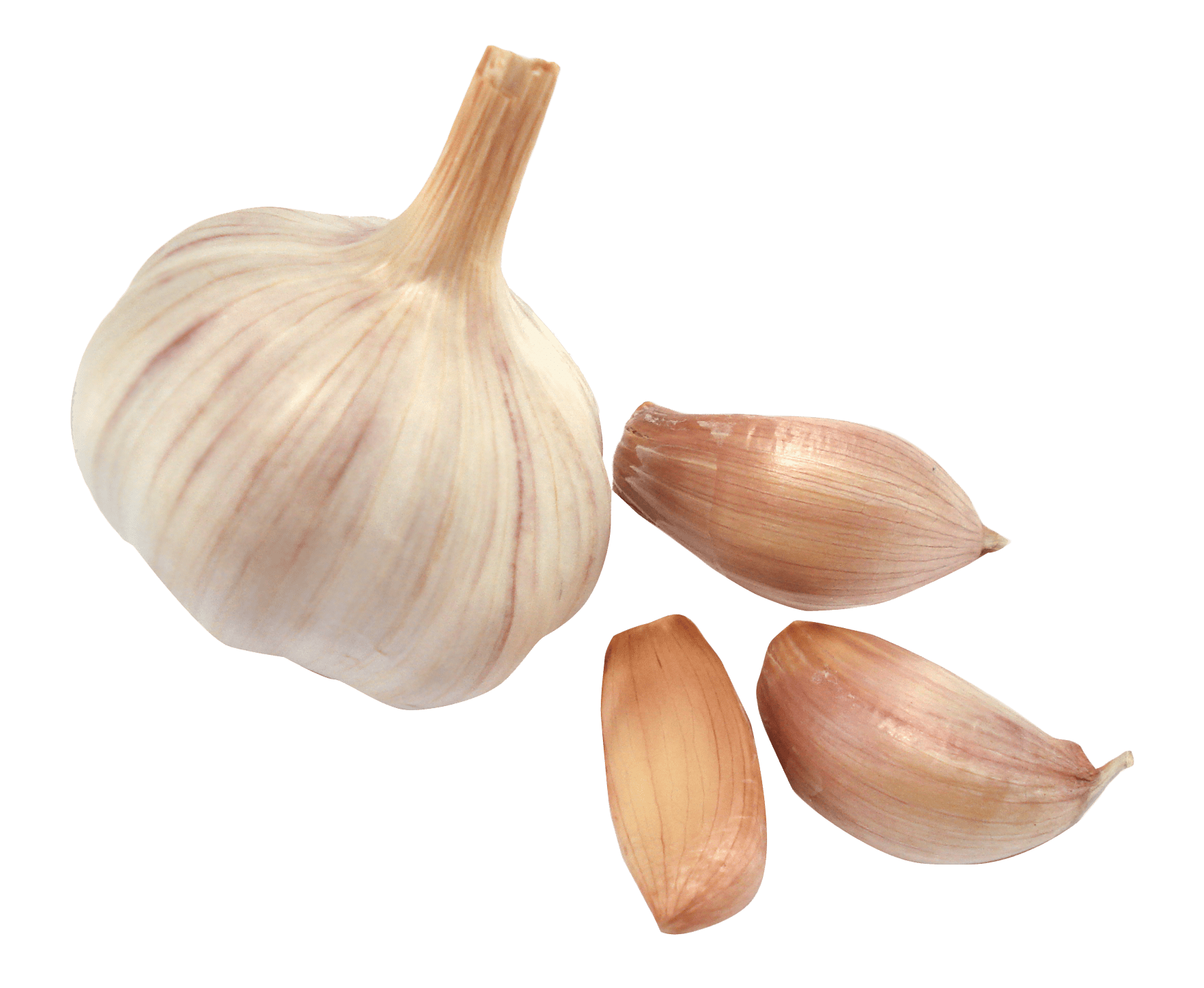 Garlic PNG Free File Download PNG Play