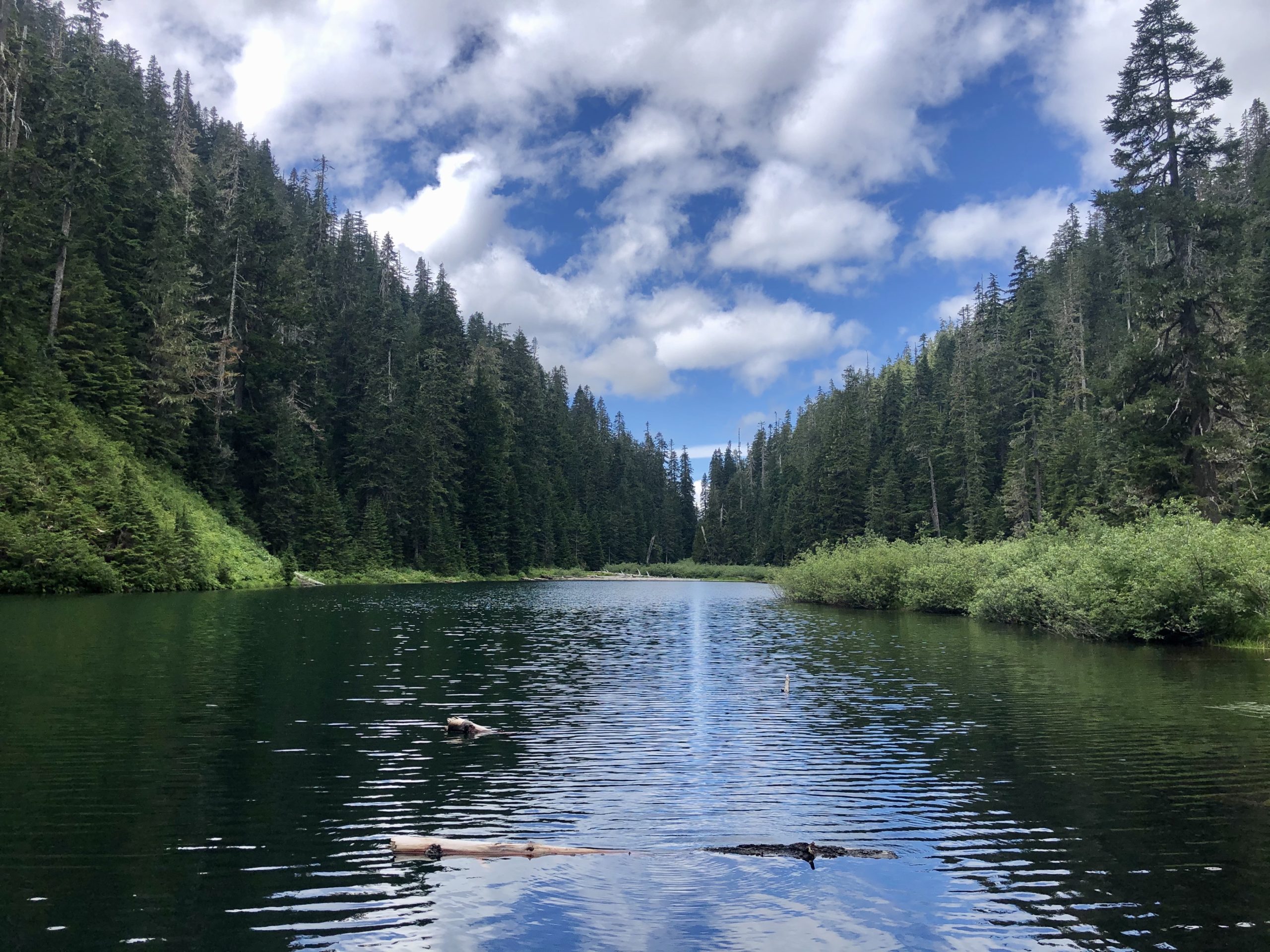 Elbow Lake Trailhead PNT