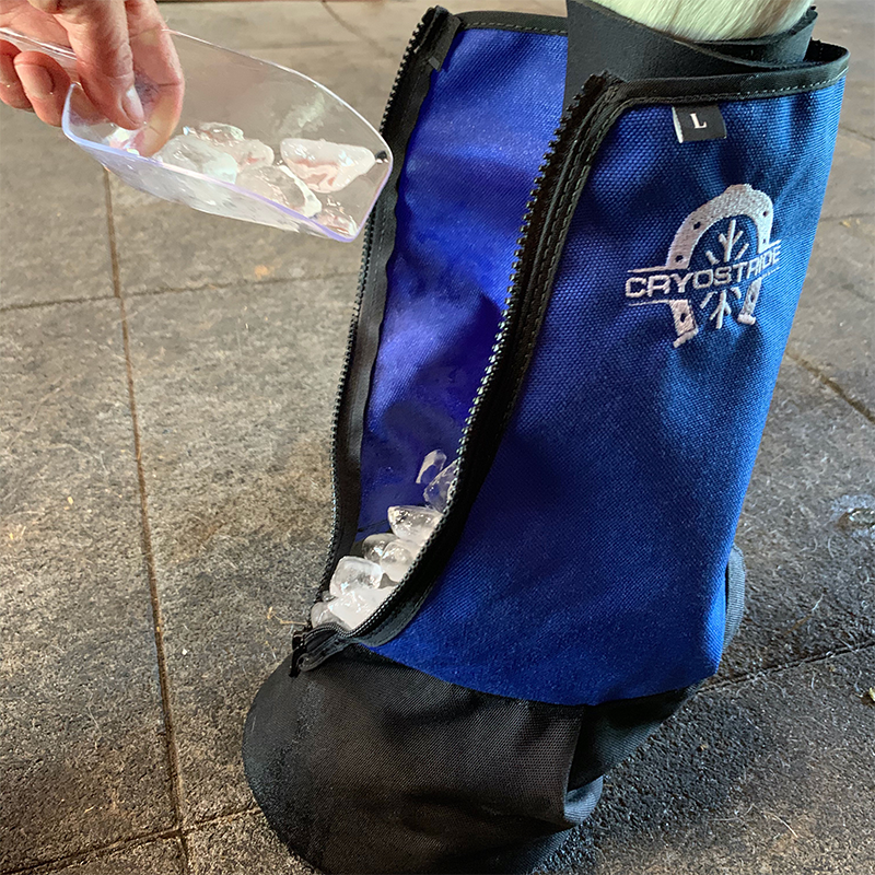 CryoStride Ice boots for horses Podoblock USA