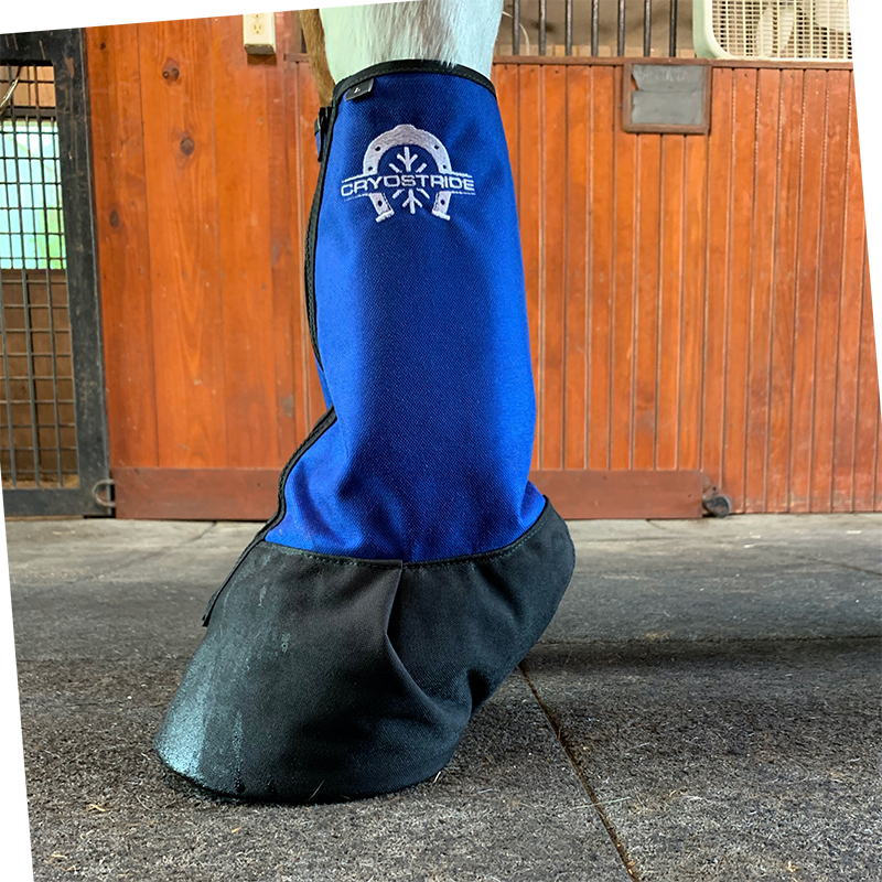 CryoStride Ice boots for horses Podoblock USA