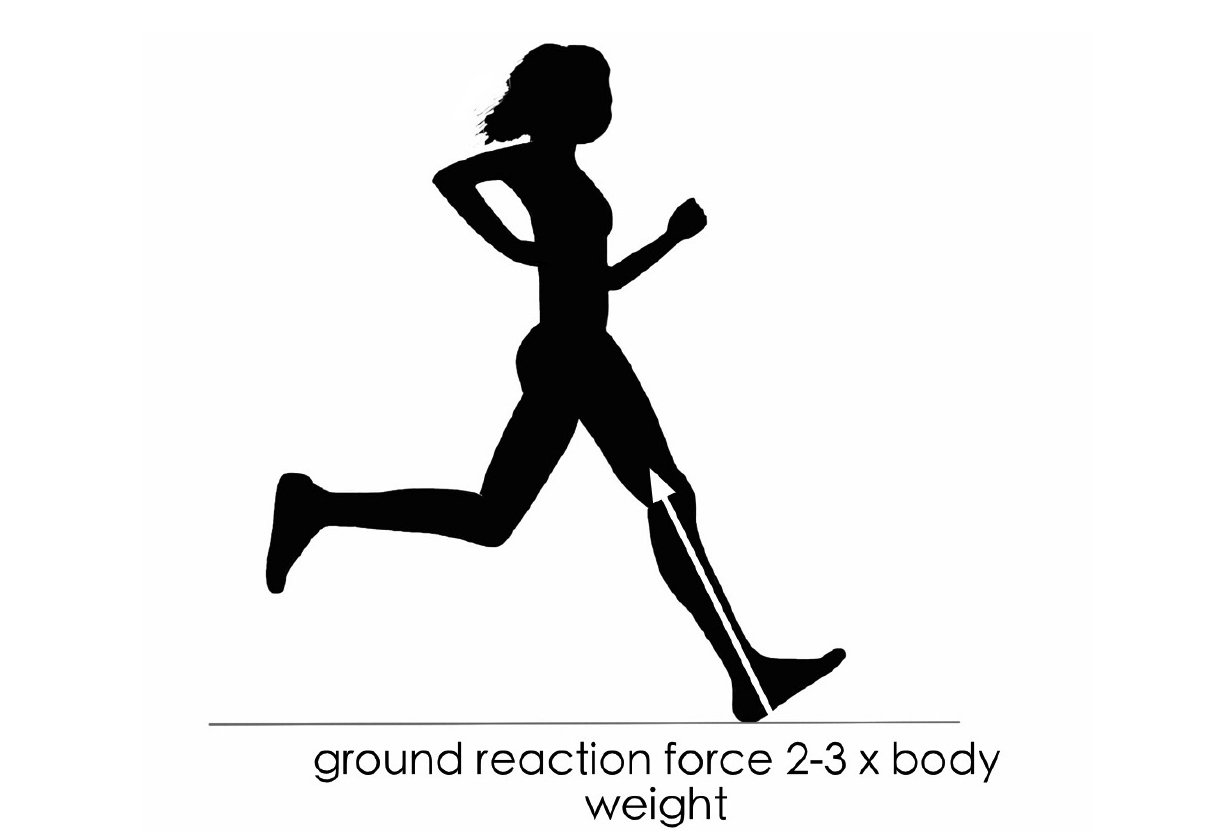 Running Technique Principle Optimal Body Position POGO Physio Gold Coast