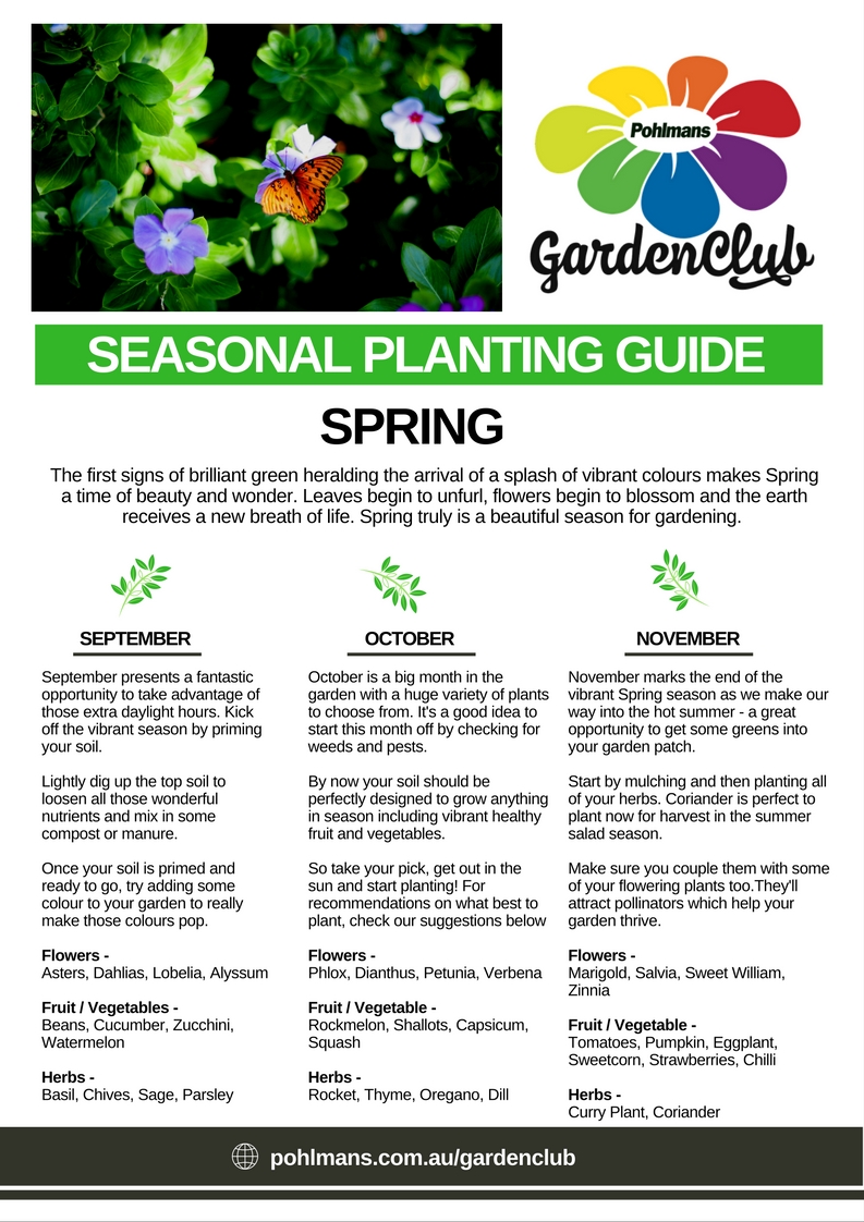 Seasonal Planting Guide Pohlmans The Plant People Phone 07 5462 0477