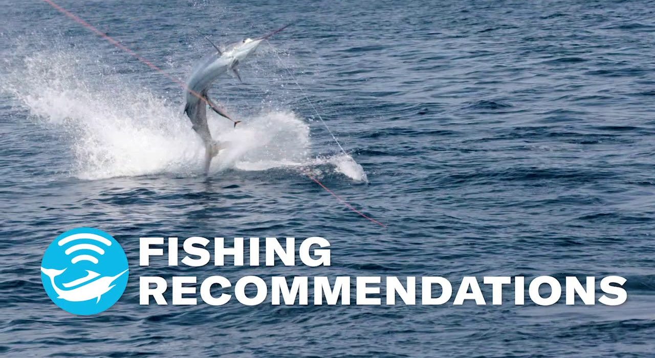 Now Is The Time Get To Know Fish Mapping Sirius XM Marine