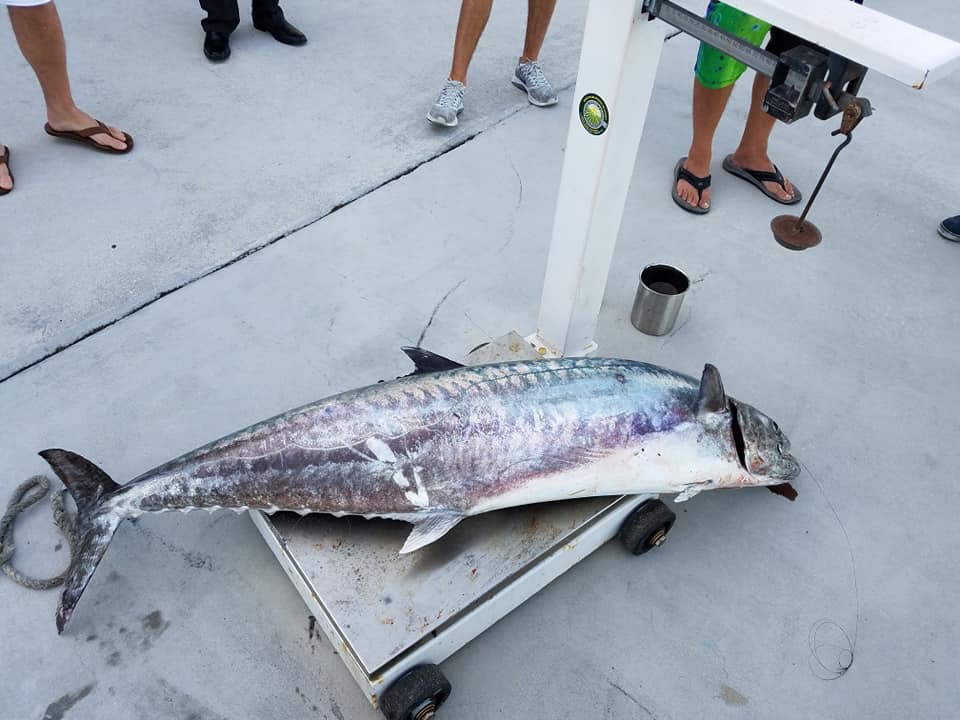 World Record King Mackerel Caught