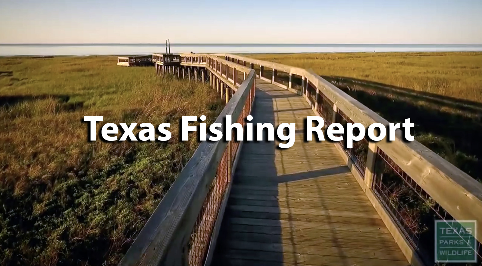 Texas Saltwater Weekly Fishing Report December 2 2021