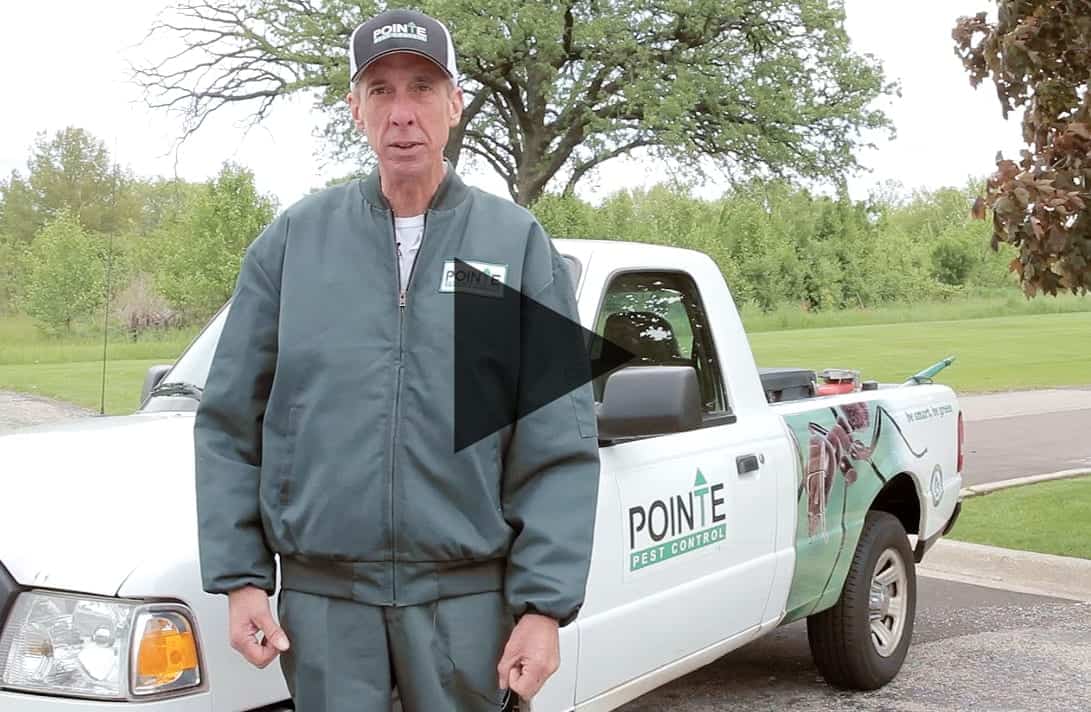 Tom Pointe Pest Control Chicago Pest Control and Exterminator