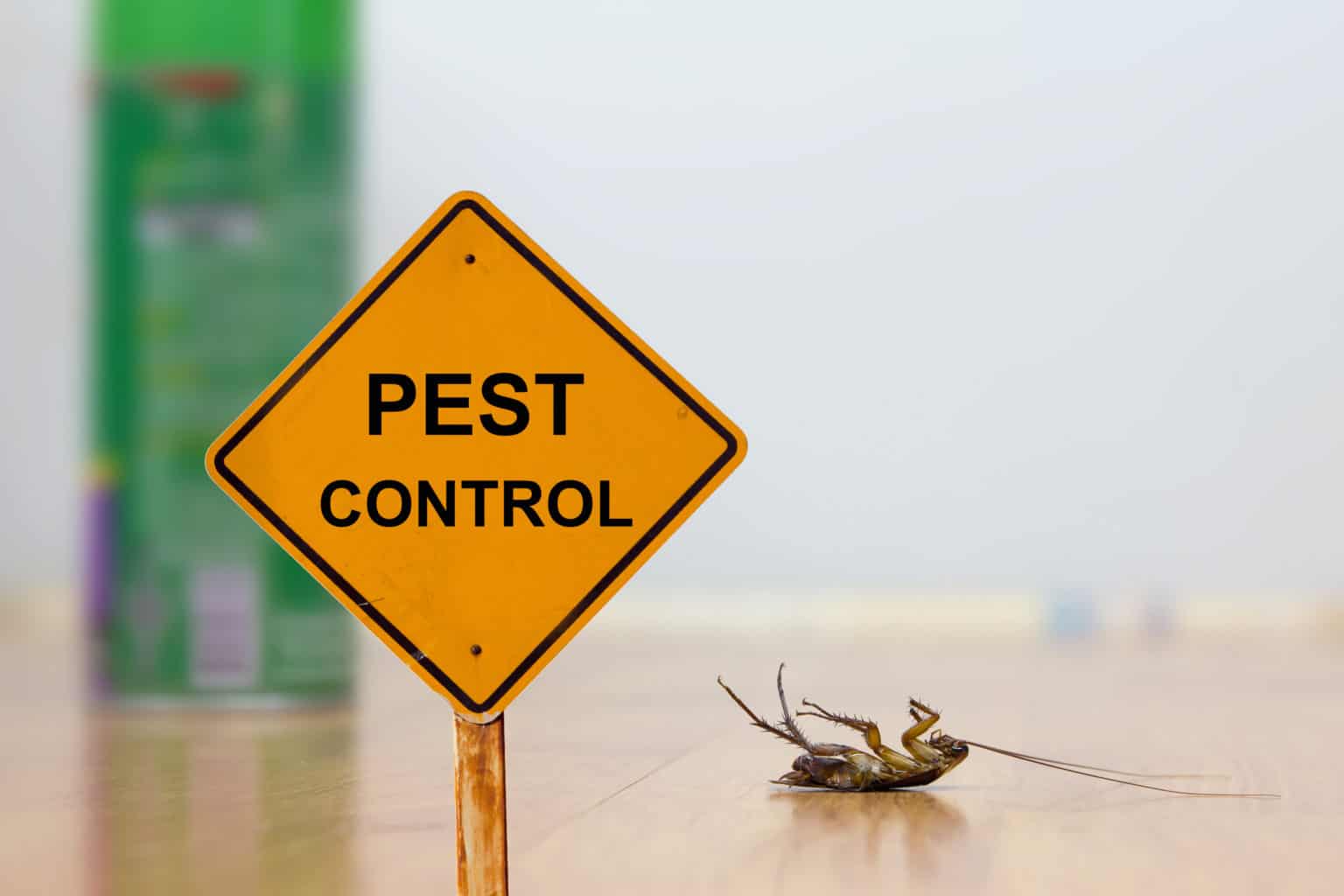 dead roach Pointe Pest Control Chicago Pest Control