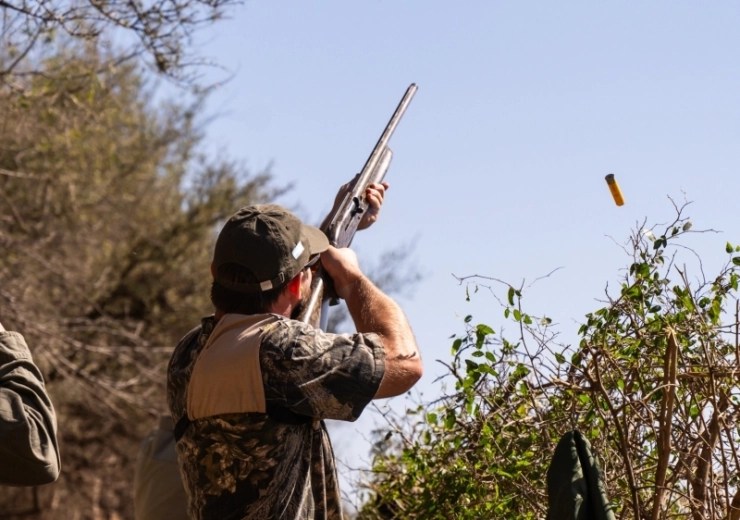 Ours Photos Bird hunting trips in Argentina Pointer WingShooting