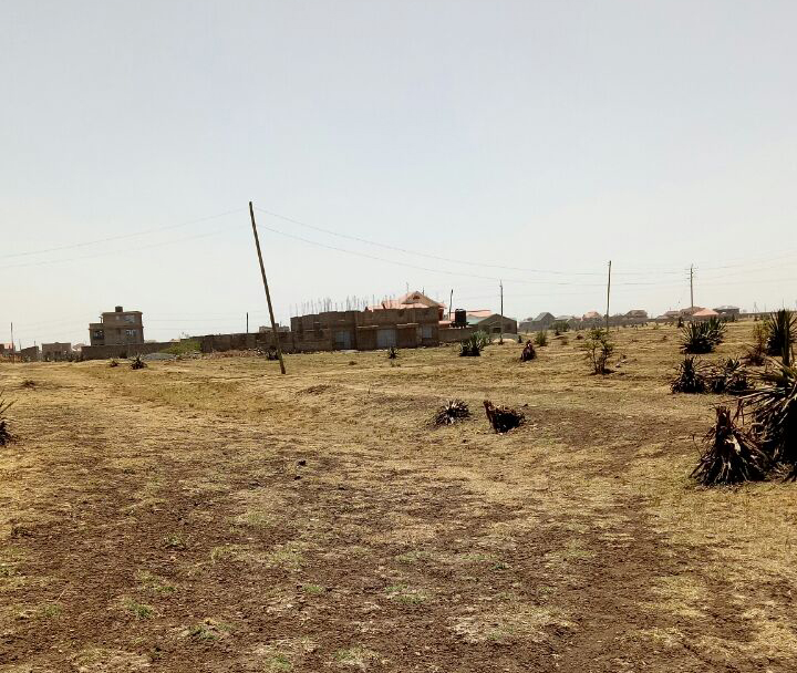 Point Properties Ltd Plots for sale in Juja Kenya