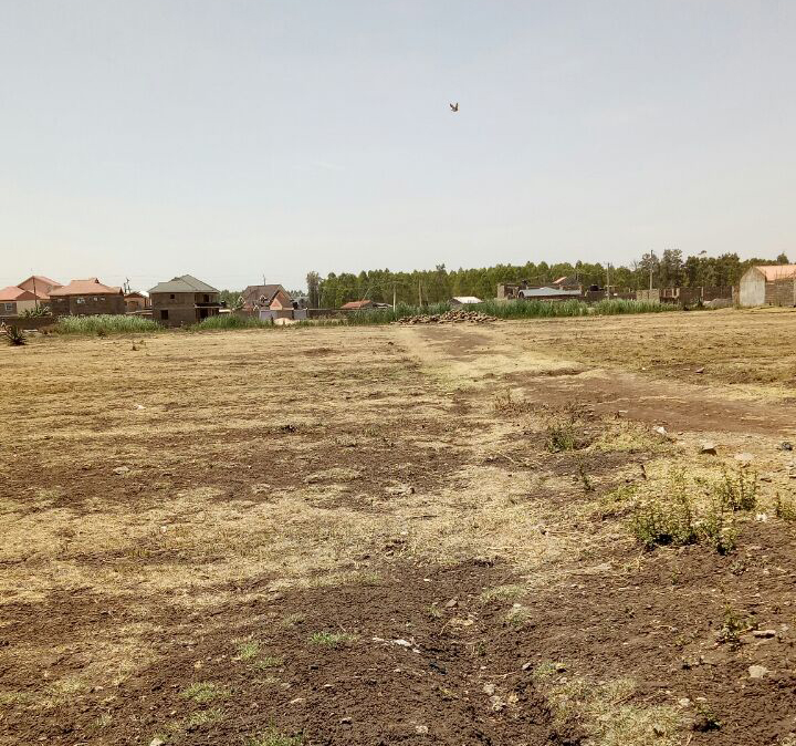 Plots for sale in Juja Kenya