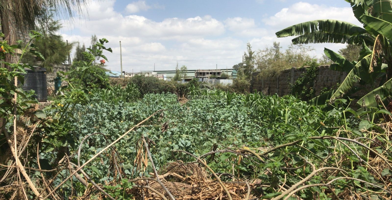 Point Properties Ltd Plots For Sale, Athi river Mavoko