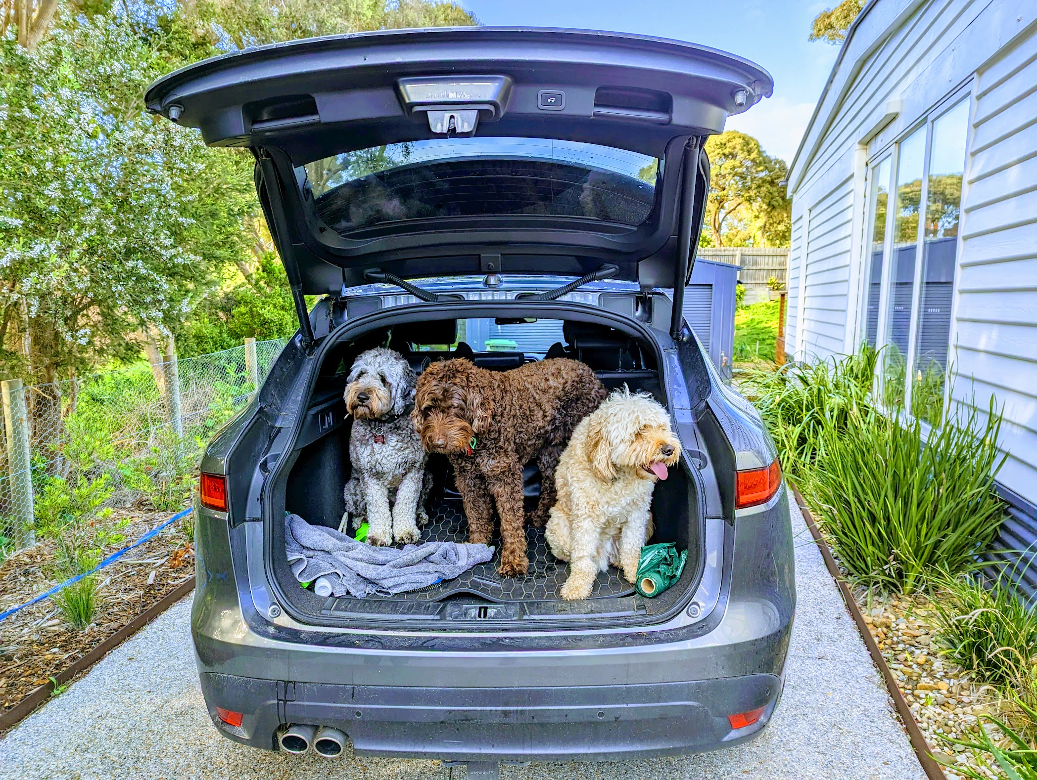 Pet Friendly Between Melbourne and Sydney