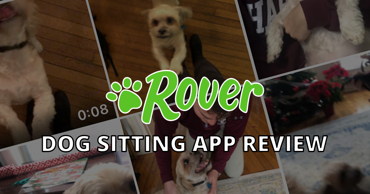 My experience with Rover, the dog sitting app (review + discount
