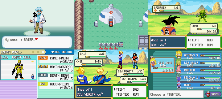 Dragon Ball Z Team Training V8 / Pokemon Dragon Ball Z Team Training