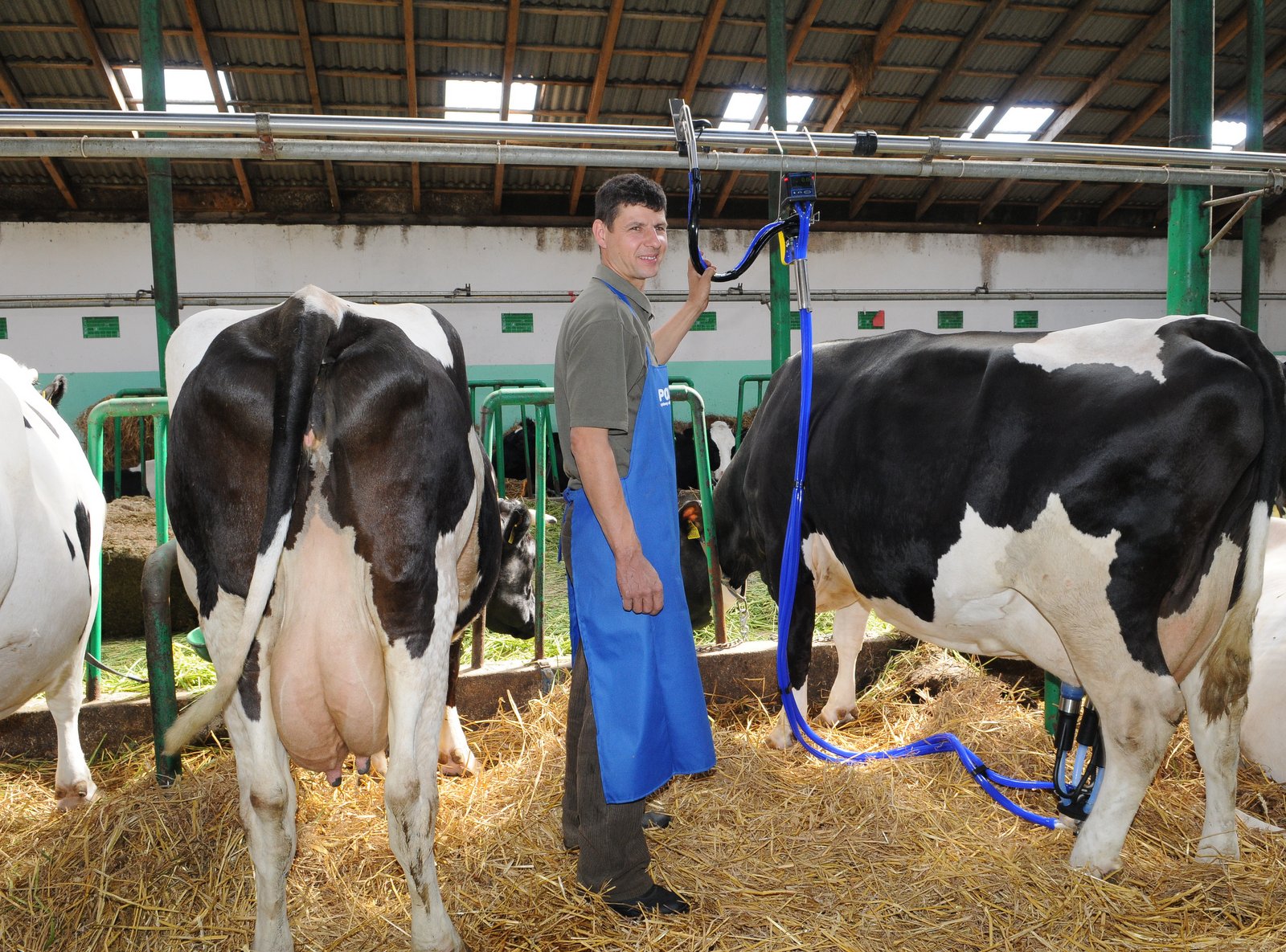 » Pipeline milking machines