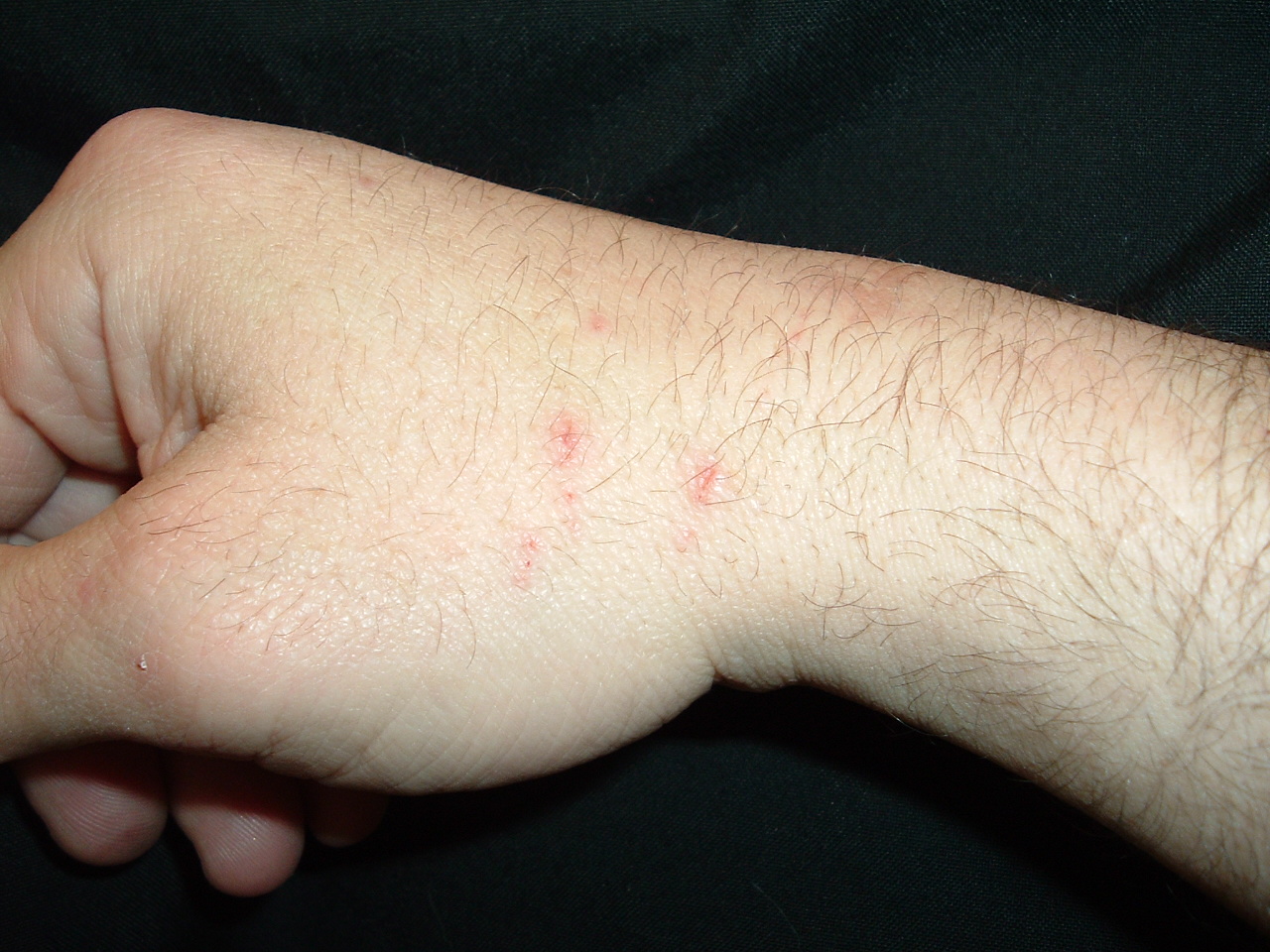 We have a kitchen with Free Coffee or Tea The Rant Police