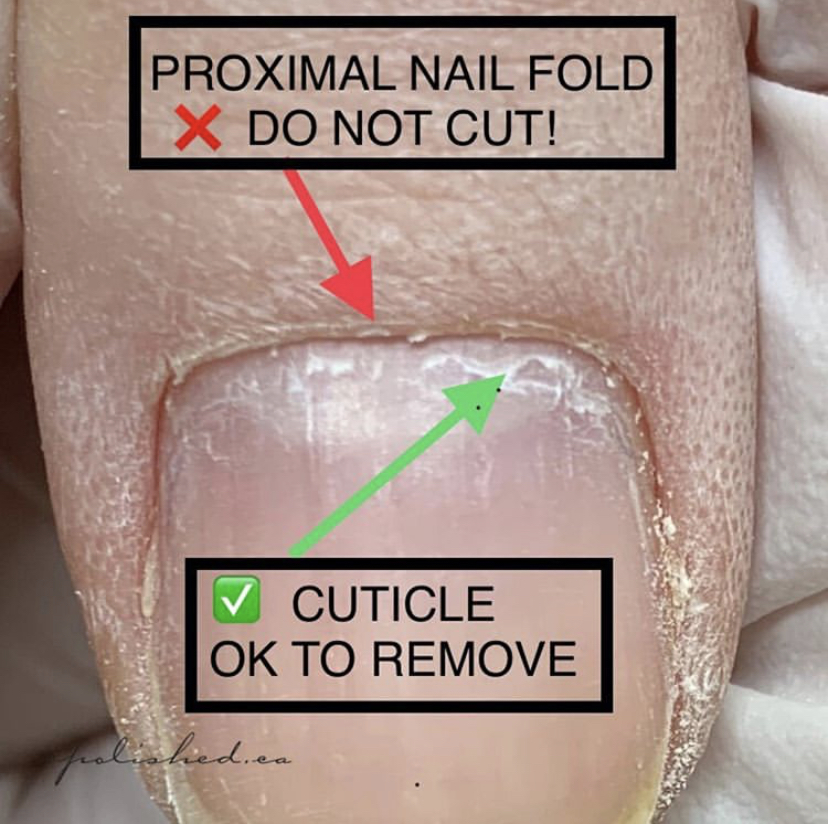 “Dear Client, Please Stop Asking Us To Cut Your Cuticles” Polished.ca