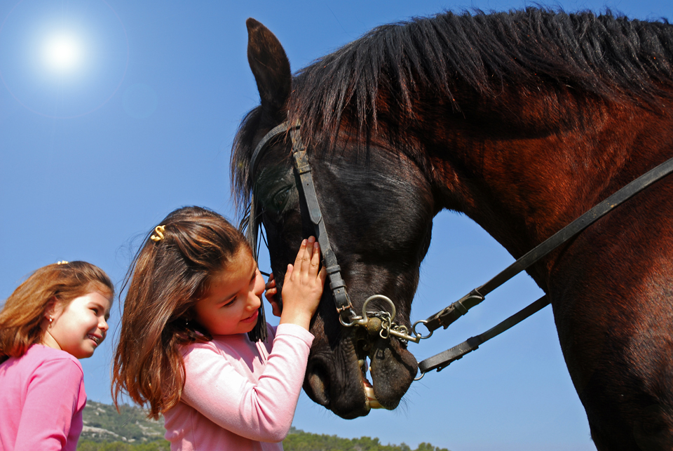 Pet Sitting Colorado Springs, CO Pollywog's Pet Sitting