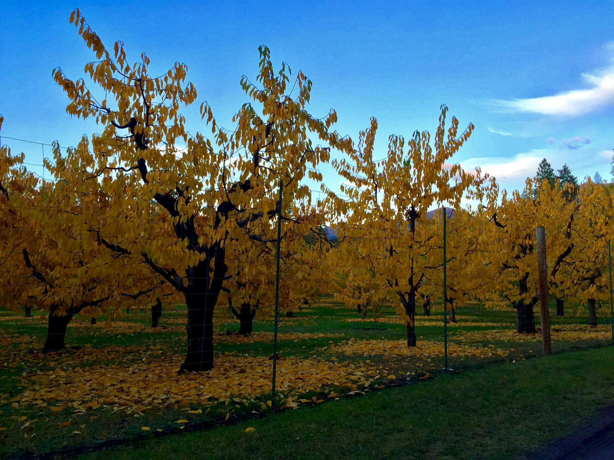 Photogallery of Polson Montana Polson Chamber of Commerce