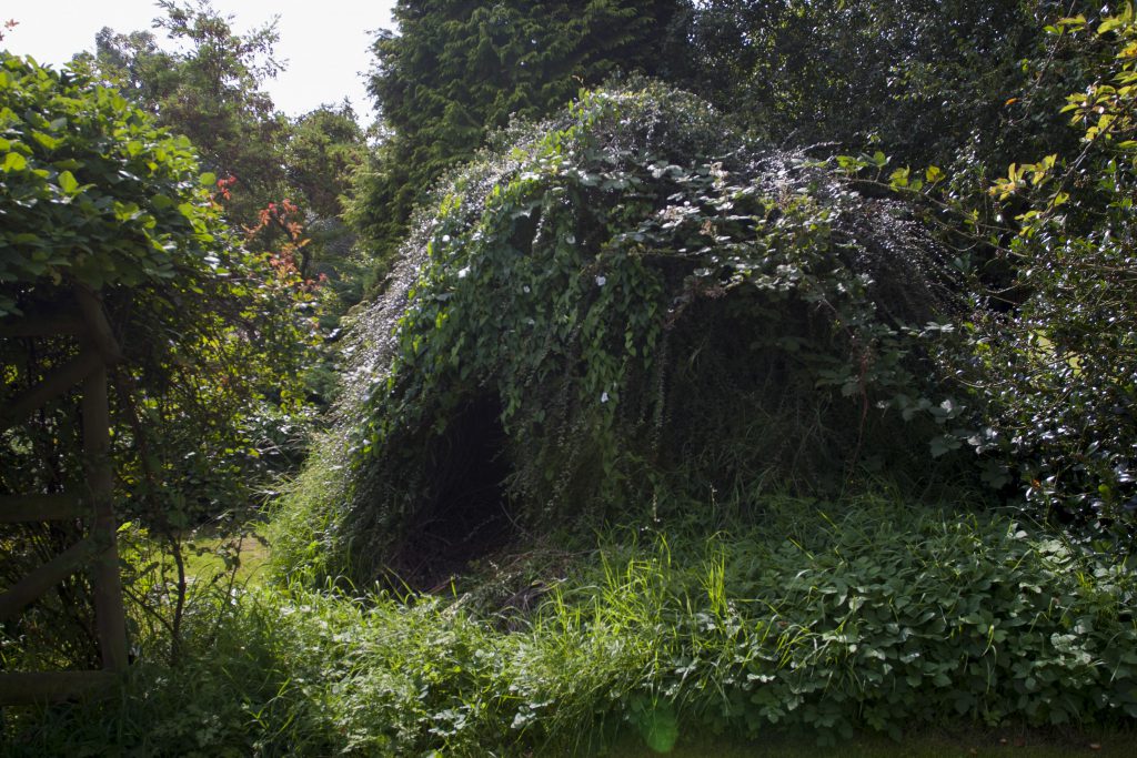 Bomb Shelter Excavation Project (Part 1) The Polymath Perspective