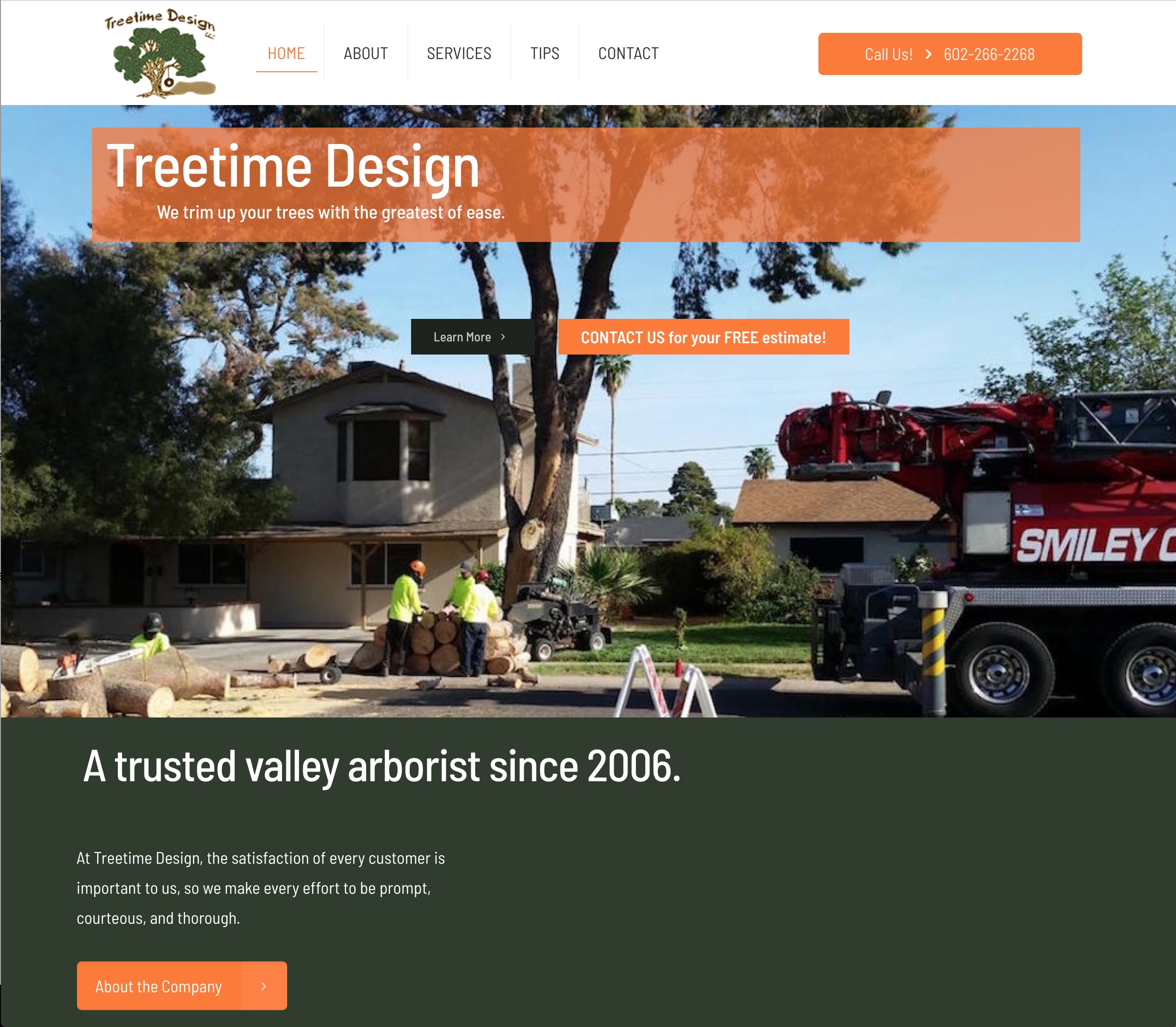 Polymathus site Development Portfolio • Treetime Design