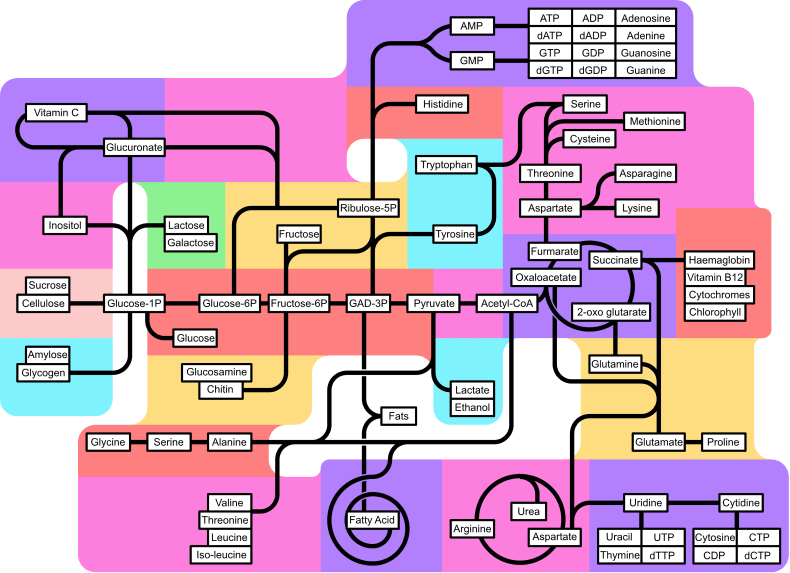 Metabolic pathways don’t really have end products Polypompholyx
