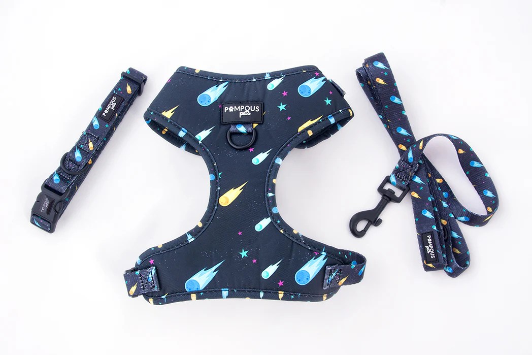 Comets Dog Harness Bundle Set Pompous Pets SA
