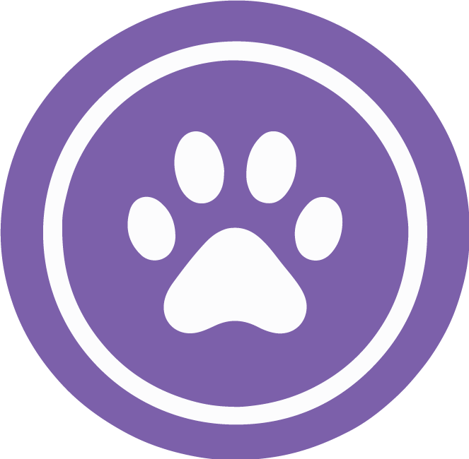 Best Dogs for Seniors Top Breeds for Companionship & Care Pondering