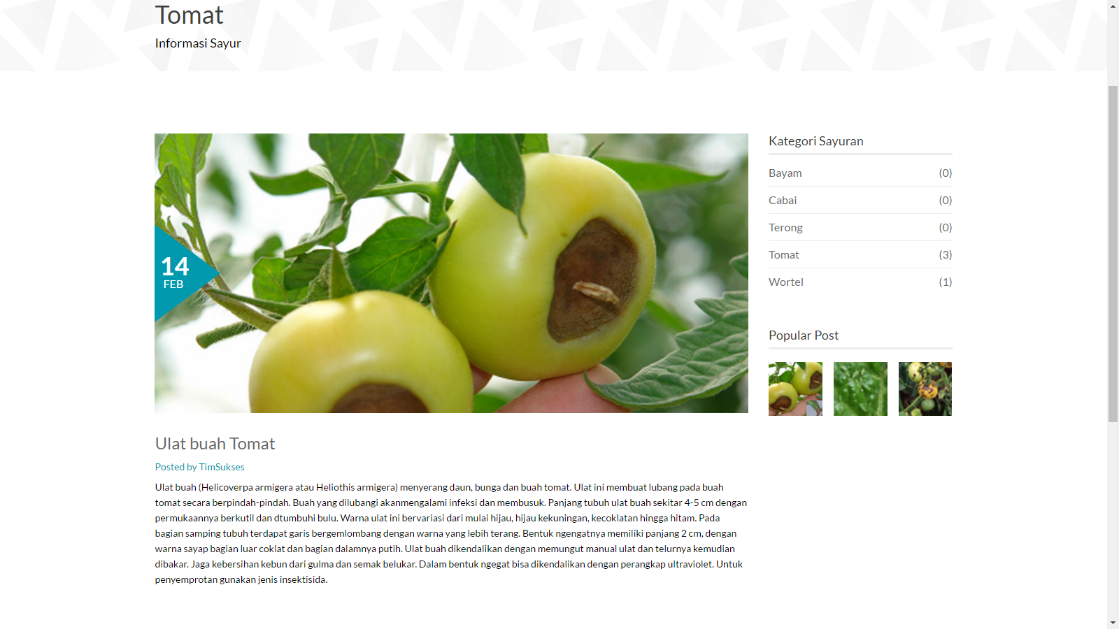 Download aplikasi pendeteksi hama tanaman sayur berbasis