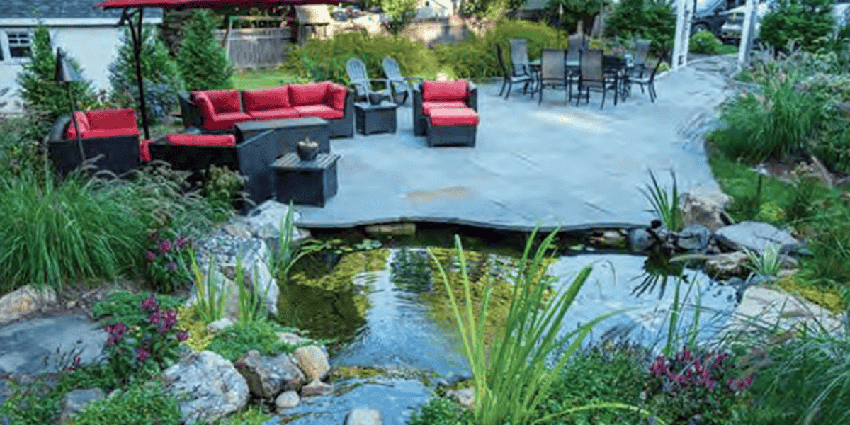 Pond Construction Collaborative Concrete Ecosystem Pond Build POND