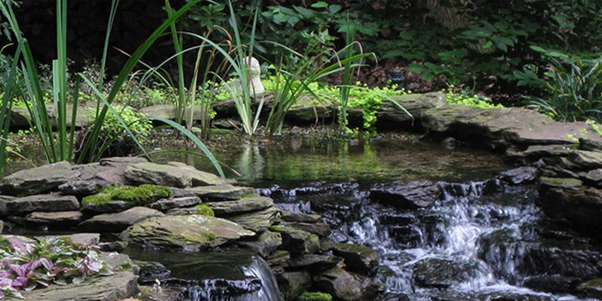 EcoBog Kits from EasyPro POND Trade Magazine