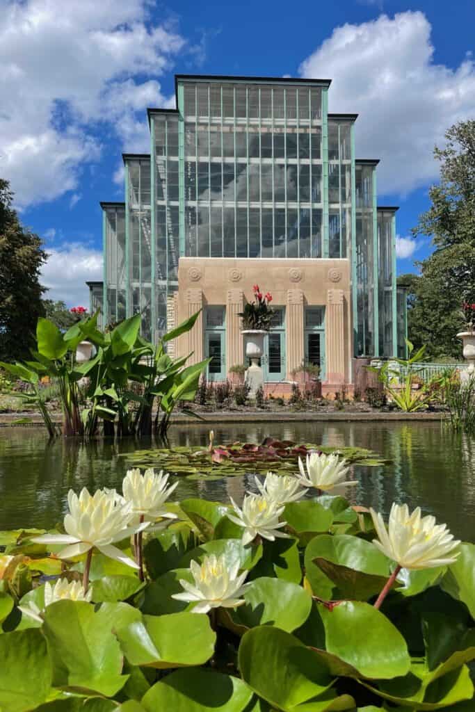 The St. Louis Water Garden Society Prepares for its 24th Annual Pond