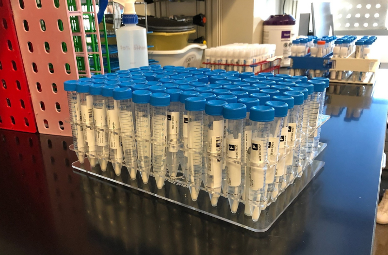 New OpenSource Test Tube Rack Helps COVID19 Testing Lab Tame